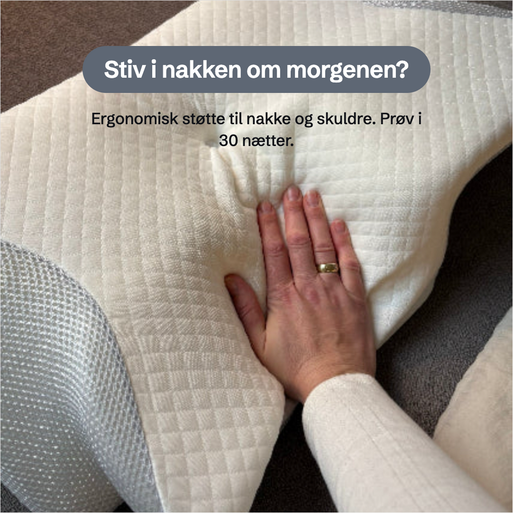 Fjärilskudde